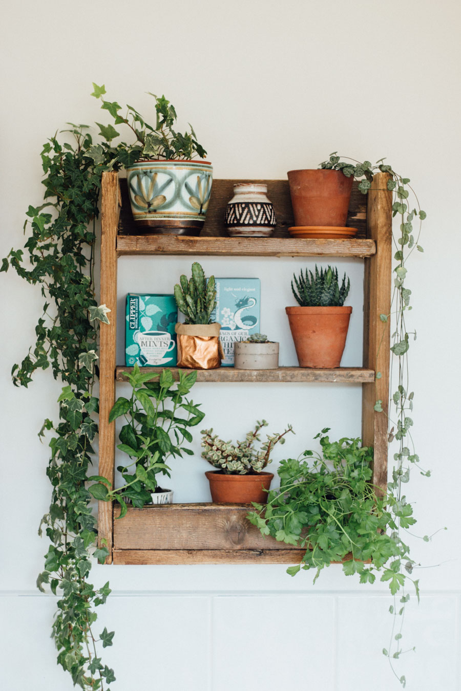 UJB-Kitche-Greens-2
