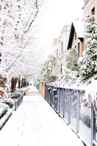 What To Buy Chicago Winter