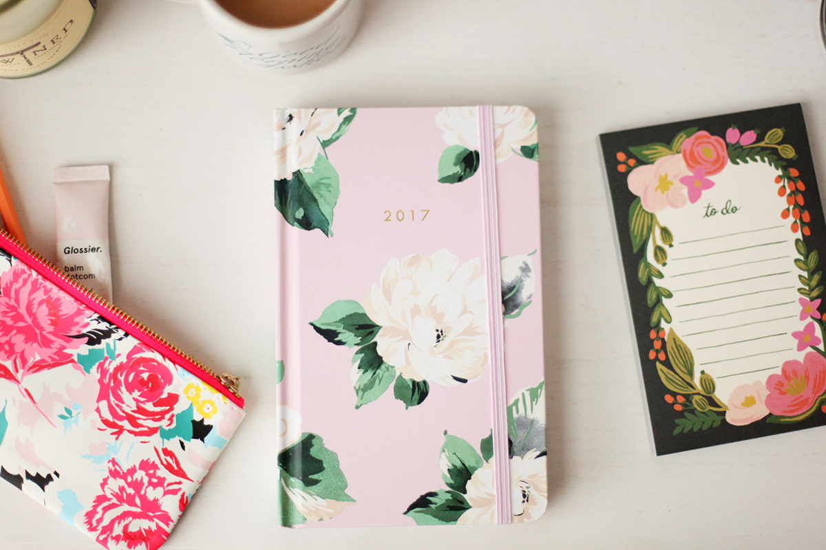 2016 Wrap Up and 2017 Goal Setting