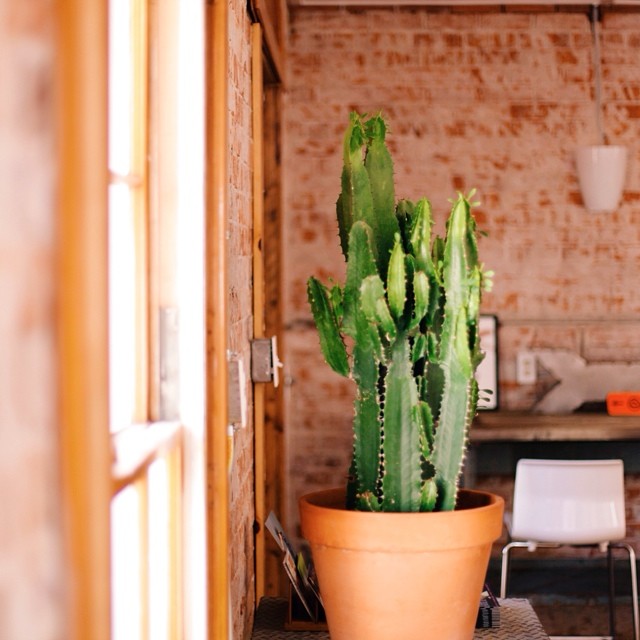 Arizona Travel Tips