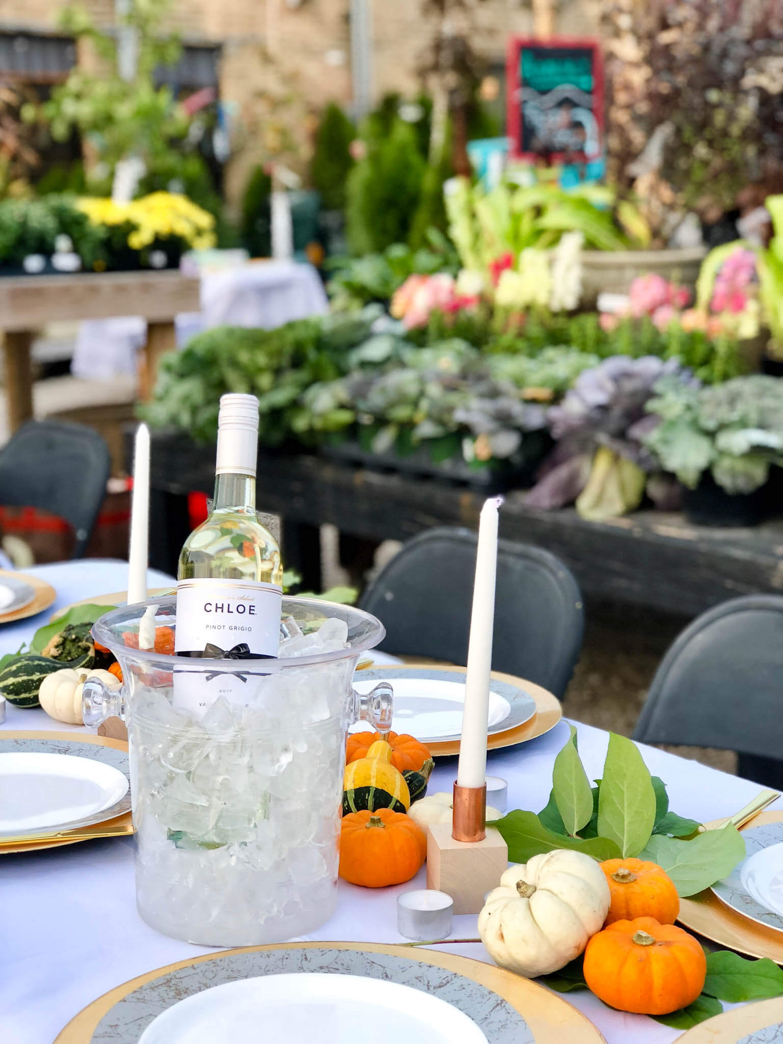 Fall dinner tablescape ideas