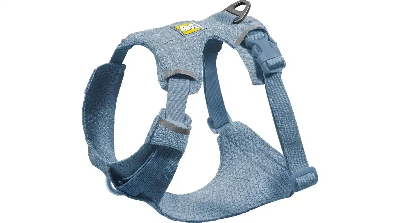 Collar for pet.