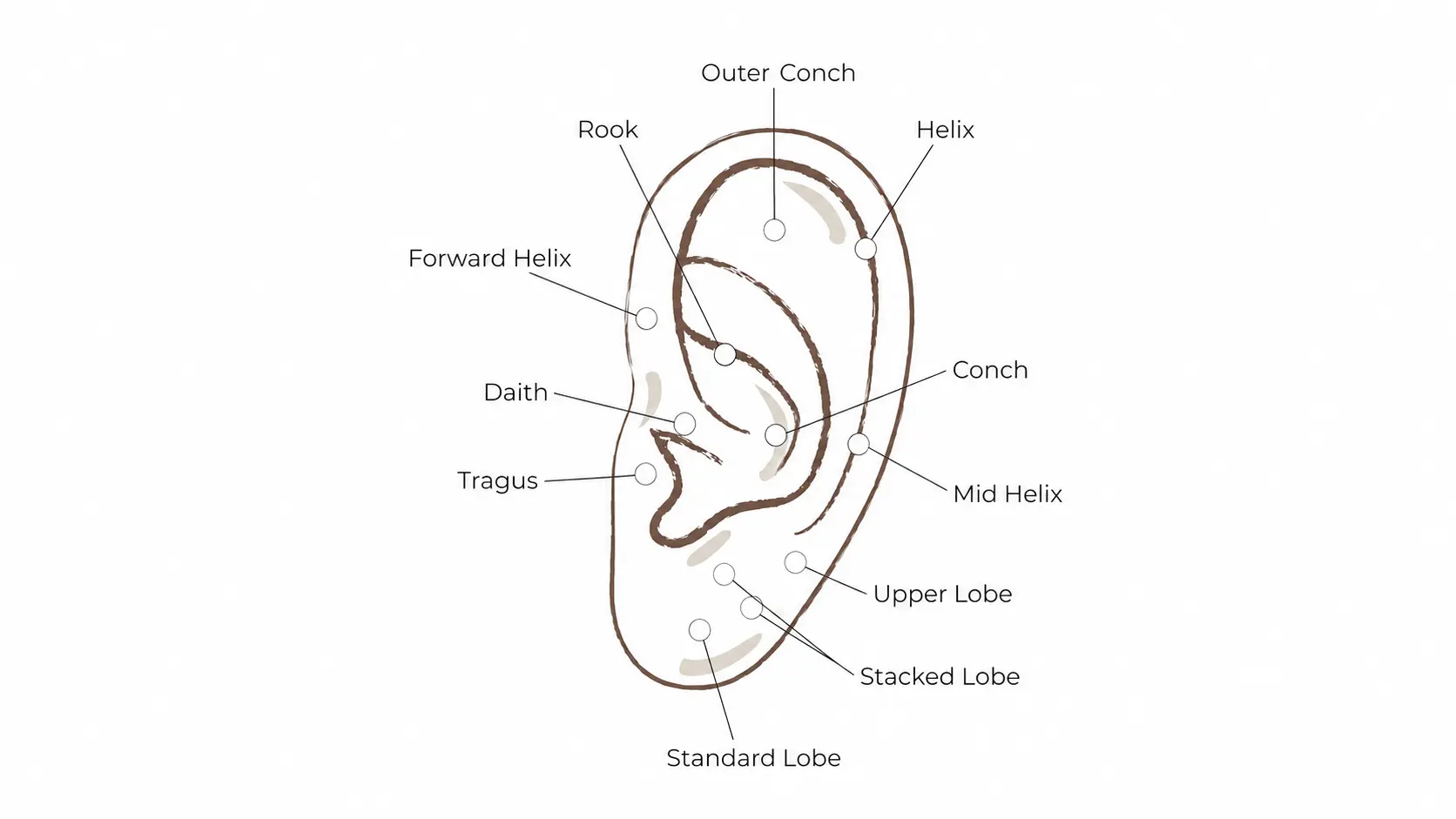 Ear piercing placement guide with labeled anatomy points