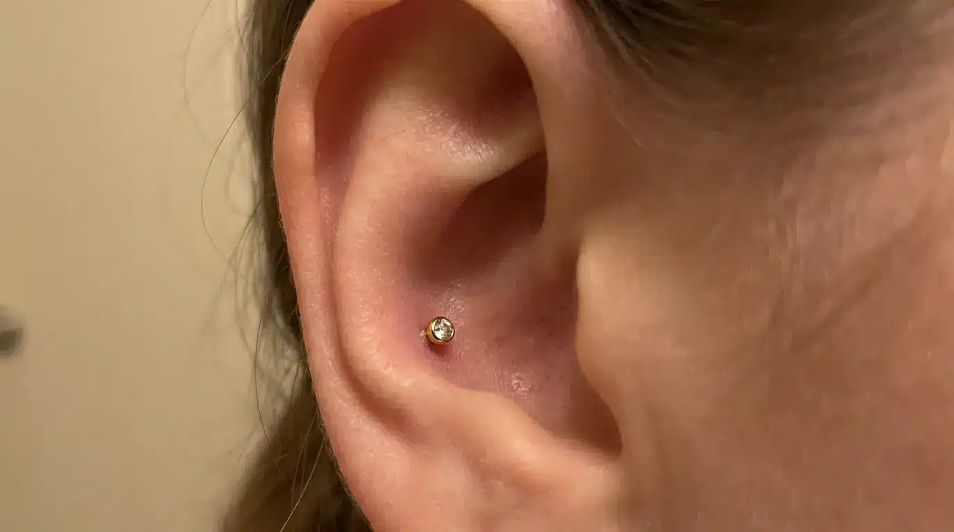 Inner conch piercing with stud jewelry