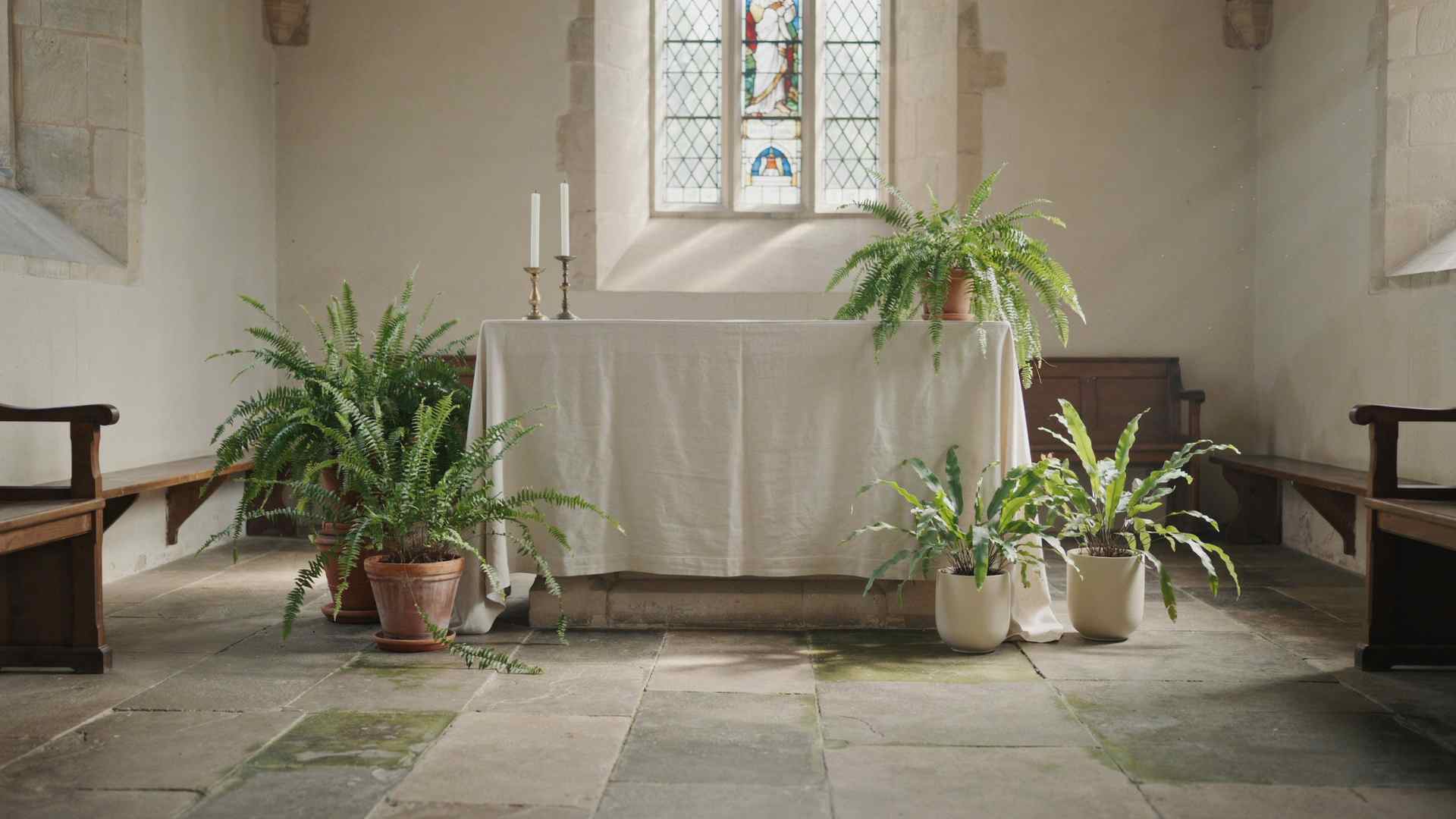Potted ferns decorating the church wedding altar