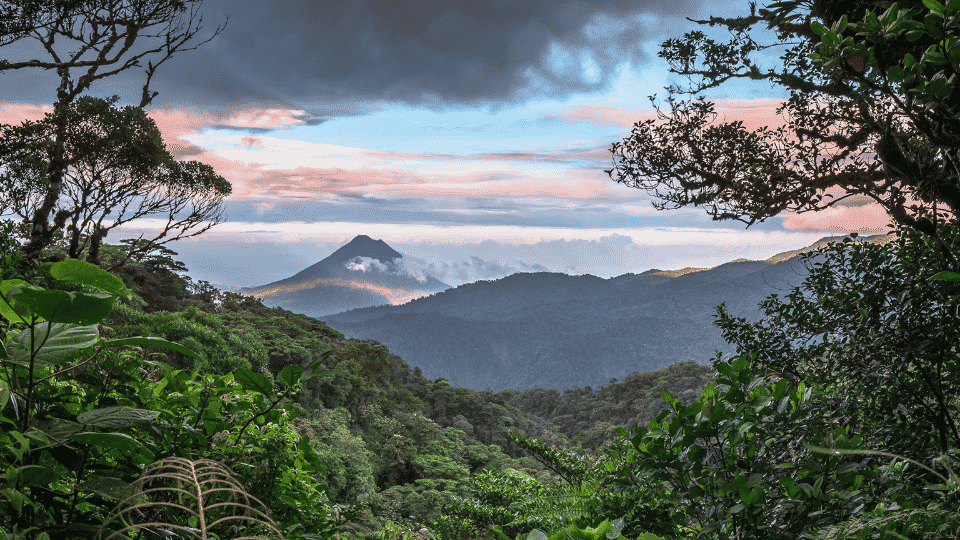 Dense tropical rainforest with lush greenery and misty mountain scenery in Costa Rica.