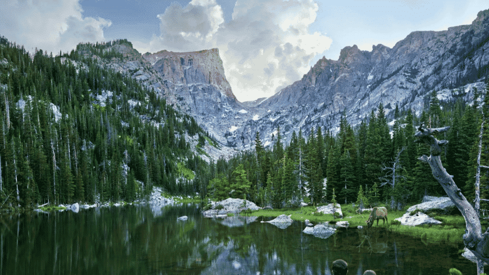 Rugged mountain peaks, alpine forests, and scenic valleys in Rocky Mountain National Park.
